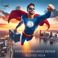 Perfect Appliance Repair Tampa LLC Anatoli Didenco