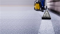 Brooklyn Carpet Cleaning Services Brooklyn Carpet Cleaning Services